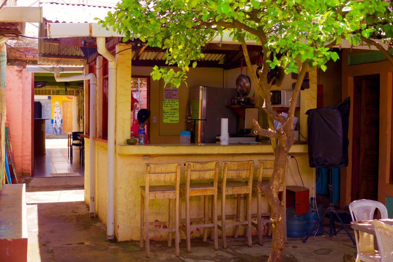 Hostal Los Chamos サン・フアン・デル・スル エクステリア 写真